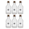 REGENT GLASS SQUARE BOTTLES WITH CORK LIDS 6 PACK, 120ML (114X51X51MM)