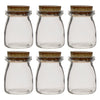 REGENT GLASS ROUND BOTTLES WITH CORK LIDS 6PK, 100ML
