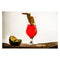 CONSOL MONACO COCKTAIL GLASS 4 PACK, (355ML)
