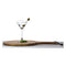 CONSOL SAINT-REMY MARTINI GLASS 4 PACK, (250ML)