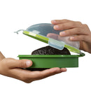 REGENT AVOCADO SAVER PLASTIC GREEN WITH CLIP ON COVER, 152X108MM