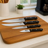 REGENT KITCHEN KNIVES WITH BAKELITE HANDLE AND 3 RIVETS 4PK SET