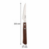 REGENT KITCHEN STEAK KNIVES WITH WOODEN HANDLES 4PK, 222MM