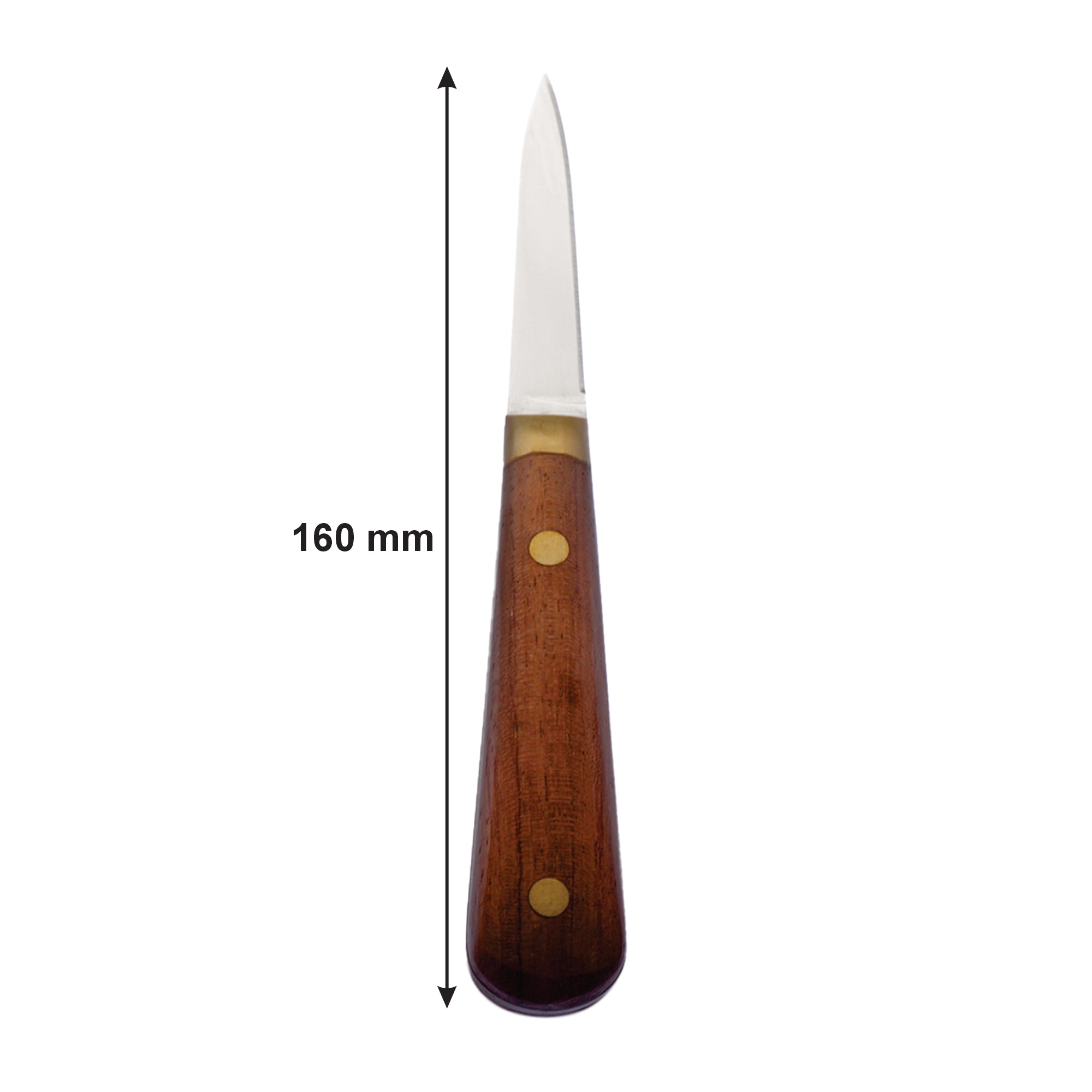 REGENT KITCHEN OYSTER SHUCKING KNIFE WITH ROSEWOOD HANDLE, 160MM