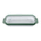 REGENT 6 SAGE ICE LOLLY MOULDS IN A PLASTIC HOLDER WITH HANDLES, 230X77MM