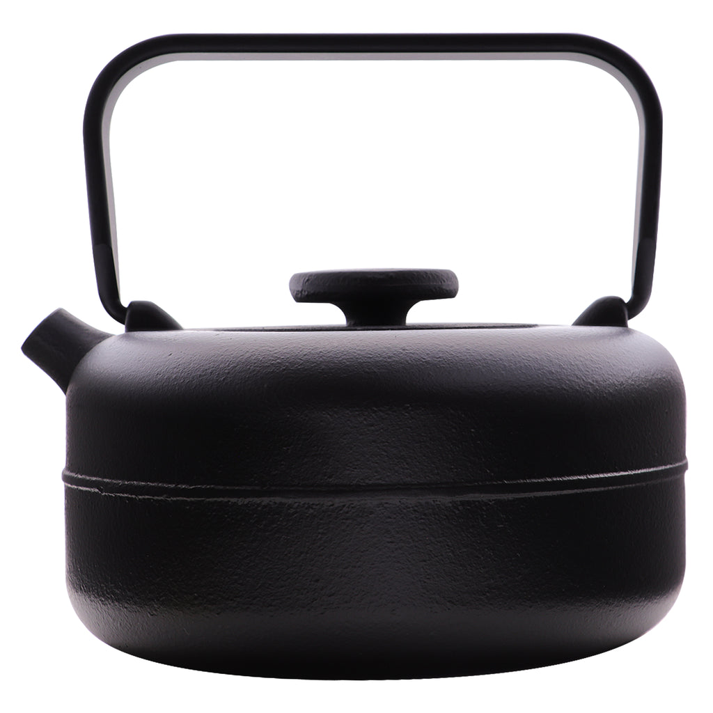 REGENT CAST IRON NAMBU TEKKI STYLE JAPANESE TEAPOT BLACK, 850ML