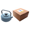 REGENT CAST IRON NAMBU TEKKI JAPANESE STYLE TEAPOT BLUE, 900ML