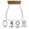 REGENT BOROSILICATE SHAPED GLASS JAR WITH BAMBOO LID, 650ML