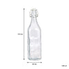 REGENT GLASS MORESCA BOTTLE WITH CLIP TOP LID, 1L