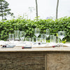 NADIR STEMMED GIN GLASS, 600ML