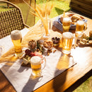NADIR MUNICH BEER GLASS, (530ML)