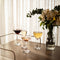 NADIR BARONE STEMMED RED WINE GLASS, (490ML)