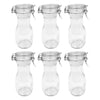 REGENT GLASS CARAFES WITH RESEALABLE CLIP TOP GLASS LIDS 6PK, 250ML