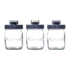 CONSOL PRESERVE JAR WITH ASSORTED COLOURED FLIP TOP LIDS, 500ML
