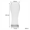 NADIR JOINVILLE BEER GLASS, 680ML