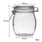 REGENT HERMETIC GLASS CANISTER WITH CLIP SEAL GLASS LID, 750ML (140X100MM DIA)