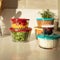 NADIR AMERICANO LARGE BOWL WITH 4 COLOURED PLASTIC LIDS, 600ML (131MM DIAX70MM)