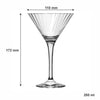 NADIR FIORE STEMMED MARTINI GLASS, 250ML