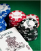 BICYCLE  8 GRM CLAY POKER CHIPS 50PC