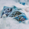 BICYCLE WORLD OF WARCRAFT WOTLK PLAYING CARDS 1PK