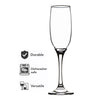 REGENT STEMMED CHAMPAGNE FLUTE GLASSES 6PK, 190ML