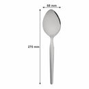 REGENT RICE SPOON STAINLESS STEEL 2 PACK, (70X30X255MM)