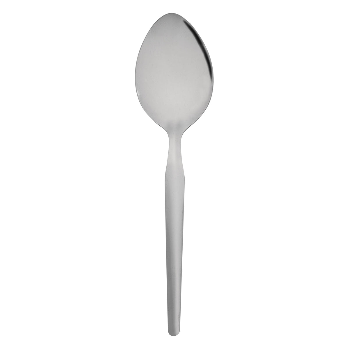 REGENT KITCHEN RICE SPOON STAINLESS STEEL 2PK, 275MM