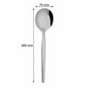 REGENT KITCHEN CURRY SPOON STAINLESS STEEL 2PK, 275MM