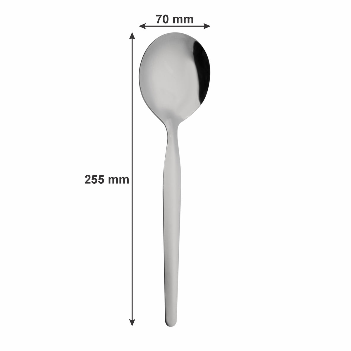 REGENT KITCHEN CURRY SPOON STAINLESS STEEL 2PK, 275MM