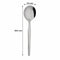 REGENT CURRY SPOON STAINLESS STEEL 2 PACK, (70X30X275MM)