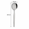 REGENT CURRY SPOON STAINLESS STEEL 2 PACK, (70X30X275MM)