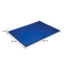 REGENT CUTTING BOARD PE BLUE, 508X381MM