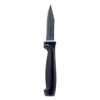 REGENT KITCHEN KNIFE PARING 1PK, 180MM