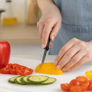 REGENT KITCHEN KNIFE PARING 1PK, 180MM