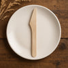 REGENT DISPOSABLE WOODEN KNIVES 24PK, 160MM