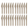 REGENT DISPOSABLE WOODEN KNIVES 24PK, 160MM