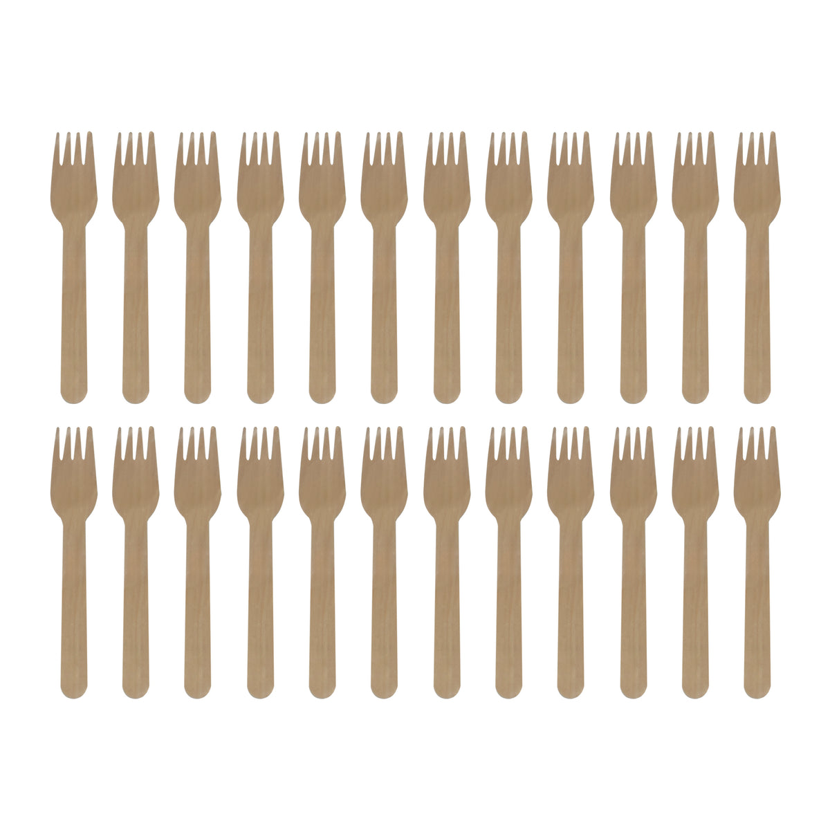 REGENT DISPOSABLE WOODEN FORKS 24PK, 160MM