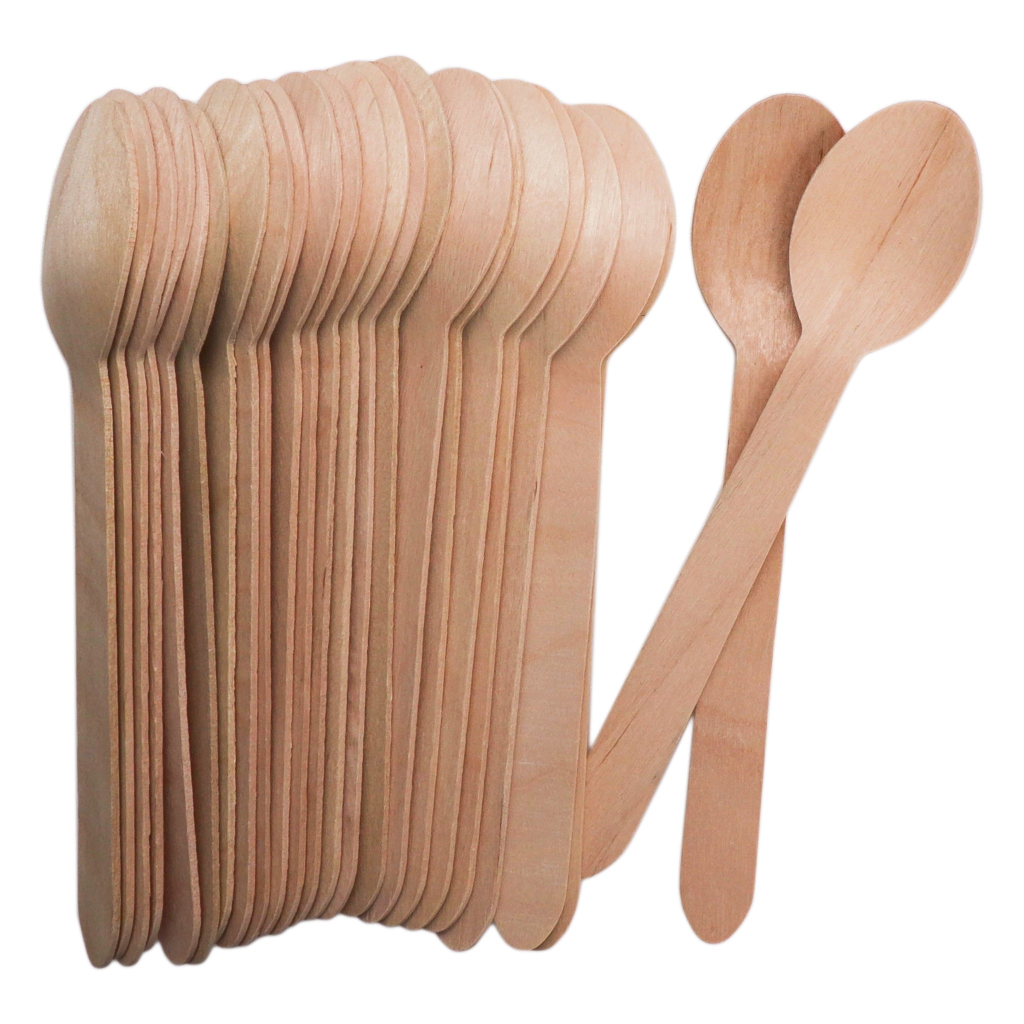 REGENT DISPOSABLE WOODEN SPOONS 24PK, 160MM