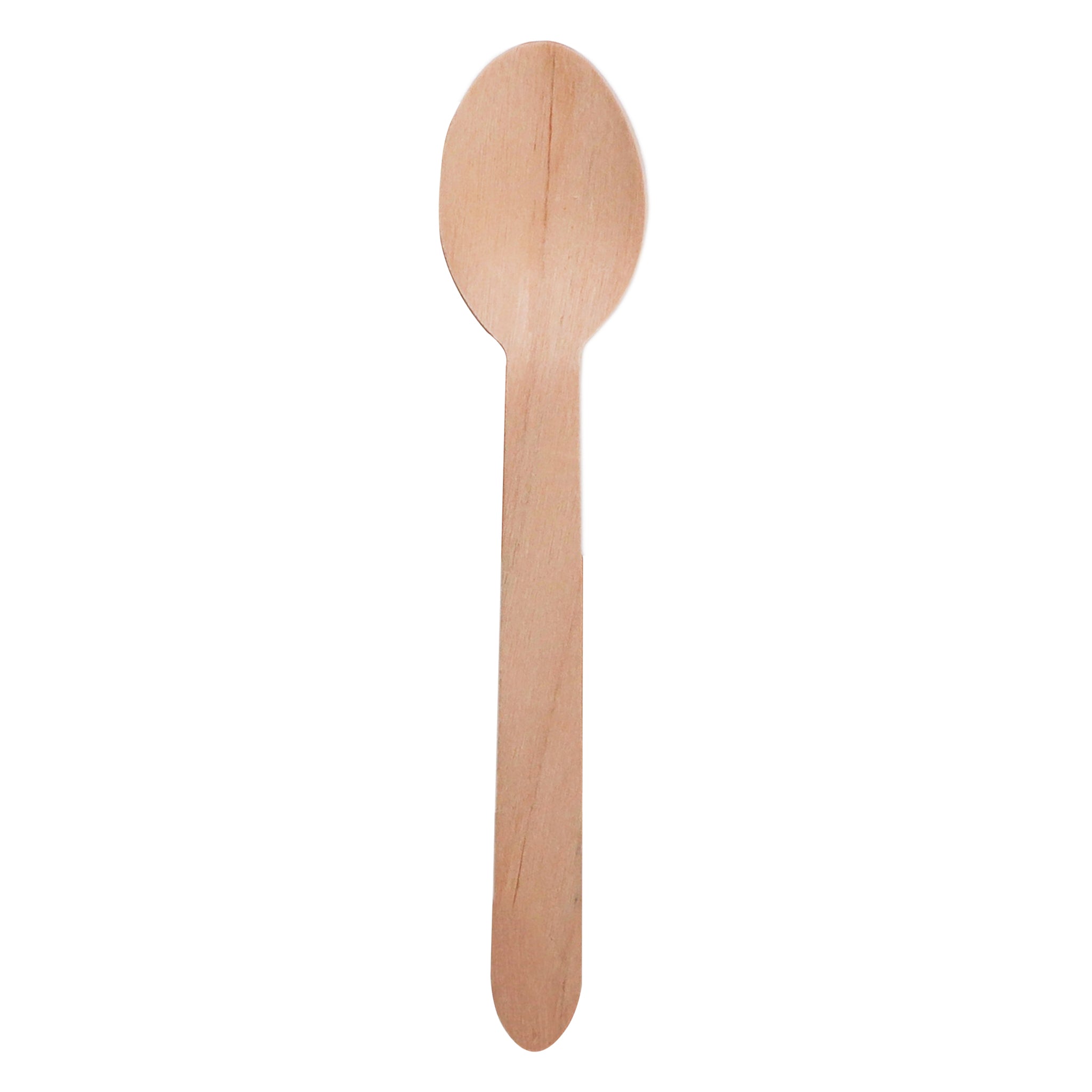 REGENT DISPOSABLE WOODEN SPOONS 24PK, 160MM