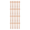 REGENT DISPOSABLE WOODEN SPOONS 24PK, 160MM