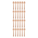 REGENT DISPOSABLE WOODEN SPOONS 24PCS, (160X34MM)
