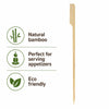 REGENT DISPOSABLE LARGE BAMBOO FOOD PADDLE PICKS 50PK, 180MM