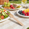 REGENT DISPOSABLE WOODEN FORKS 100PK