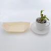 REGENT DISPOSABLE WOODEN BOAT LARGE 20PK, 220MM