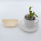REGENT DISPOSABLE WOODEN BOATS 20PCS, (145X87MM)