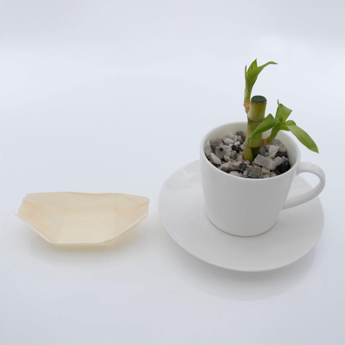 REGENT DISPOSABLE WOODEN BOATS MINI 20PK, 115MM