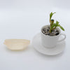 REGENT DISPOSABLE WOODEN BOATS 20PCS, (115X70MM)