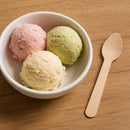 REGENT DISPOSABLE WOODEN TEASPOONS 24PK, 110MM