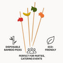 REGENT DISPOSABLE BAMBOO MIX FRUIT PICKS 20PK, 120MM