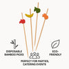 REGENT DISPOSABLE BAMBOO MIX FRUIT PICKS 20PK, 120MM
